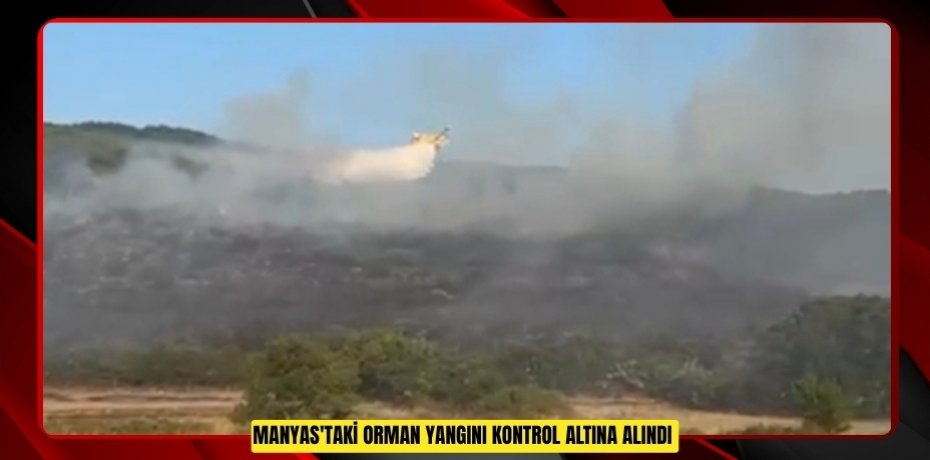 Manyas'taki orman yangını kontrol altına alındı  