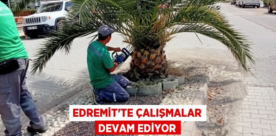 EDREMİT'TE ÇALIŞMALAR DEVAM EDİYOR
