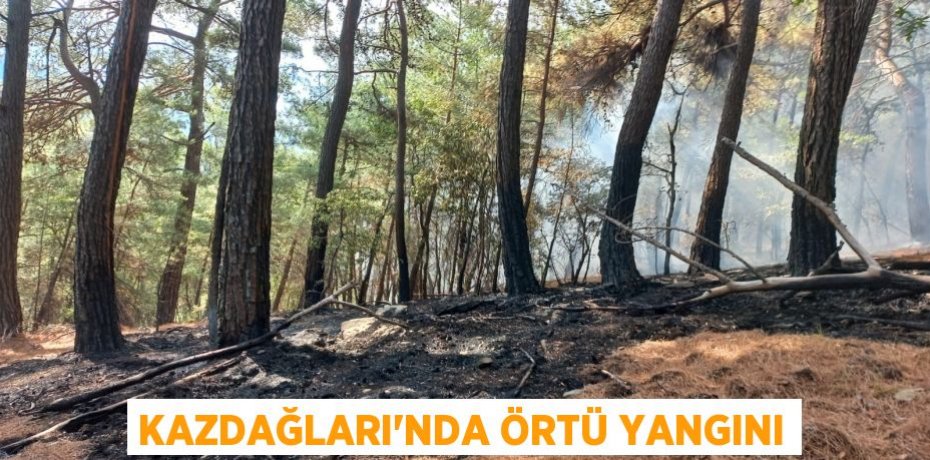 Kazdağları’nda örtü yangını