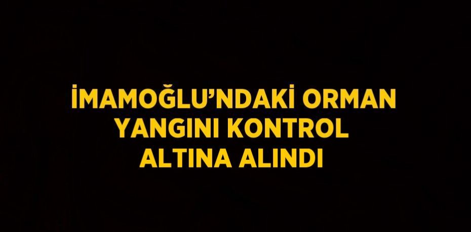 İMAMOĞLU’NDAKİ ORMAN YANGINI KONTROL ALTINA ALINDI