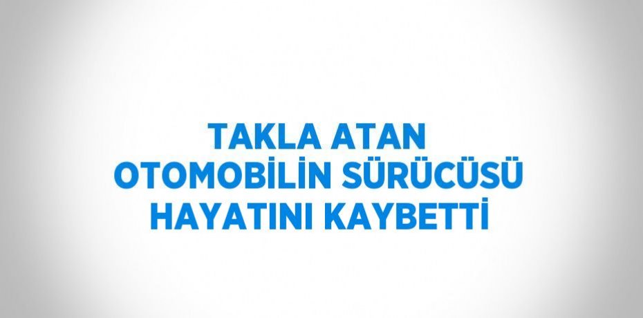 TAKLA ATAN OTOMOBİLİN SÜRÜCÜSÜ HAYATINI KAYBETTİ
