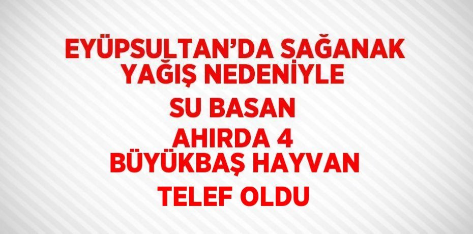 EYÜPSULTAN’DA SAĞANAK YAĞIŞ NEDENİYLE SU BASAN AHIRDA 4 BÜYÜKBAŞ HAYVAN TELEF OLDU