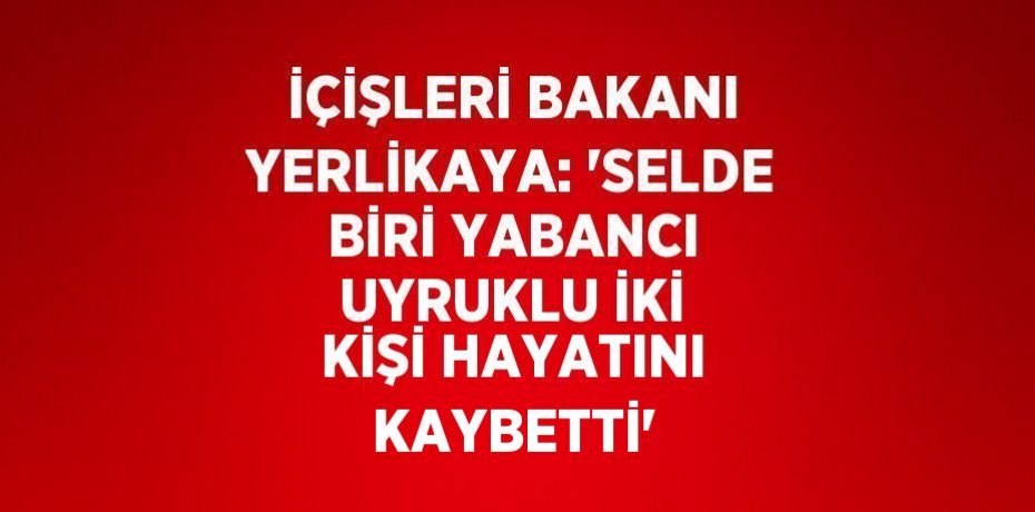 İÇİŞLERİ BAKANI YERLİKAYA: 'SELDE BİRİ YABANCI UYRUKLU İKİ KİŞİ HAYATINI KAYBETTİ'