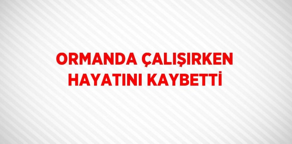 ORMANDA ÇALIŞIRKEN HAYATINI KAYBETTİ