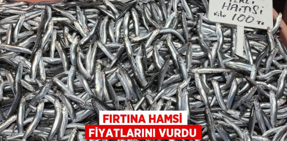 FIRTINA HAMSİ FİYATLARINI VURDU