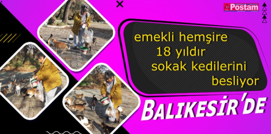 Balıkesir’de emekli hemşire 18 yıldır sokak kedilerini besliyor