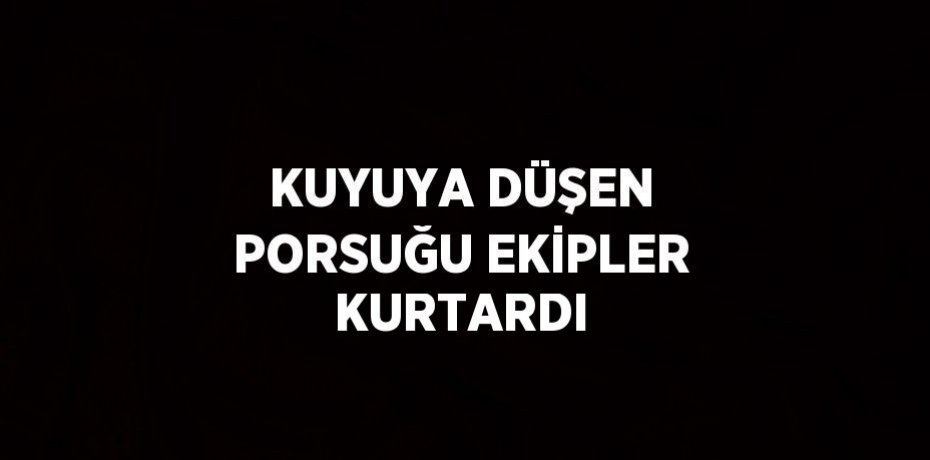 KUYUYA DÜŞEN PORSUĞU EKİPLER KURTARDI