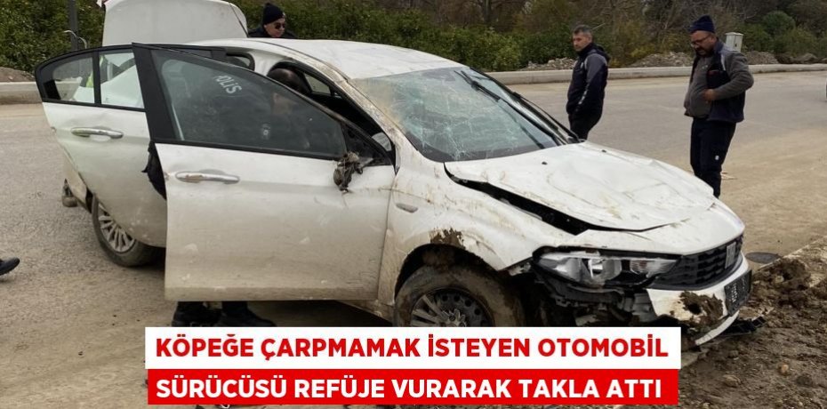 Köpeğe çarpmamak isteyen otomobil sürücüsü refüje vurarak takla attı