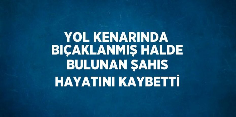 YOL KENARINDA BIÇAKLANMIŞ HALDE BULUNAN ŞAHIS HAYATINI KAYBETTİ
