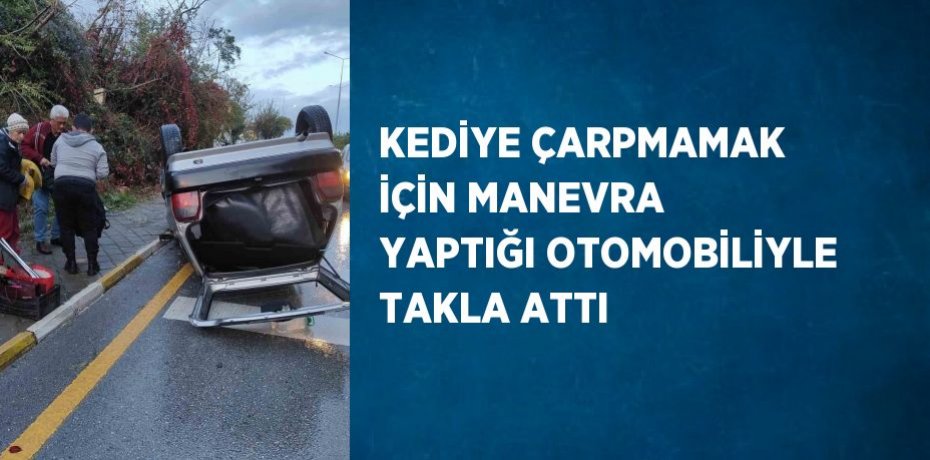KEDİYE ÇARPMAMAK İÇİN MANEVRA YAPTIĞI OTOMOBİLİYLE TAKLA ATTI