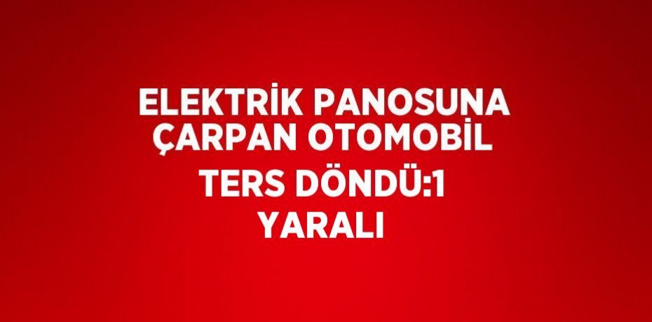 ELEKTRİK PANOSUNA ÇARPAN OTOMOBİL TERS DÖNDÜ:1 YARALI