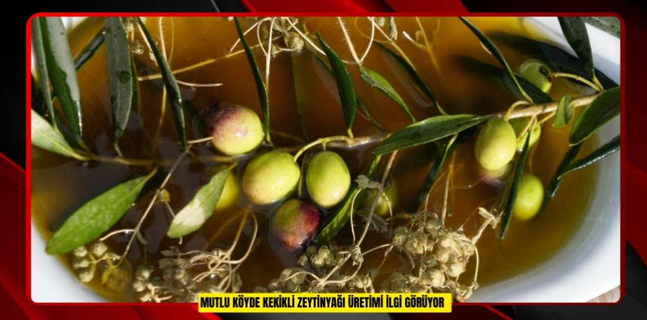 Mutlu köyde kekikli zeytinyağı üretimi ilgi görüyor  