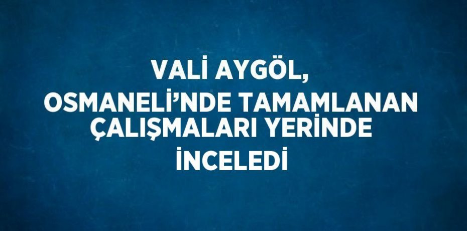 VALİ AYGÖL, OSMANELİ’NDE TAMAMLANAN ÇALIŞMALARI YERİNDE İNCELEDİ