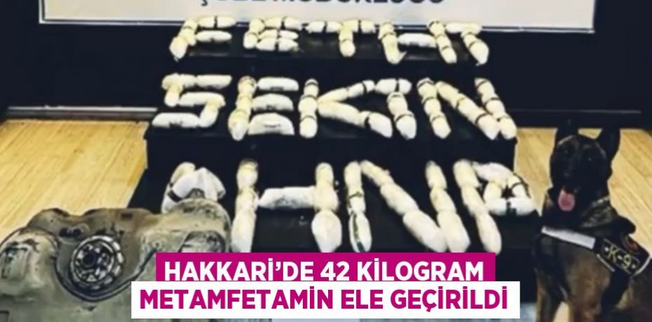 HAKKARİ’DE 42 KİLOGRAM METAMFETAMİN ELE GEÇİRİLDİ