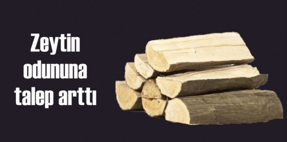 Zeytin odununa talep arttı