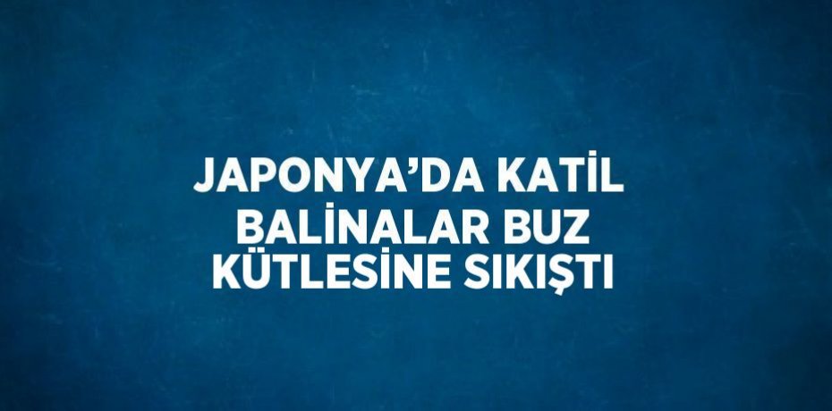 JAPONYA’DA KATİL BALİNALAR BUZ KÜTLESİNE SIKIŞTI