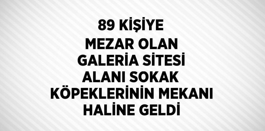 89 KİŞİYE MEZAR OLAN GALERİA SİTESİ ALANI SOKAK KÖPEKLERİNİN MEKANI HALİNE GELDİ