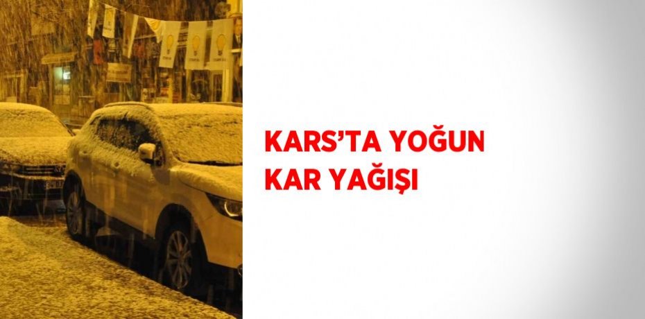 KARS’TA YOĞUN KAR YAĞIŞI