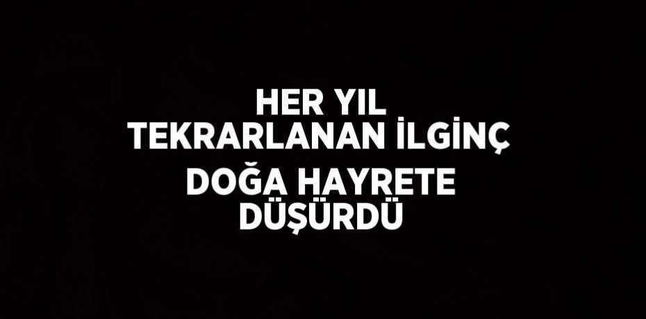 HER YIL TEKRARLANAN İLGİNÇ DOĞA HAYRETE DÜŞÜRDÜ