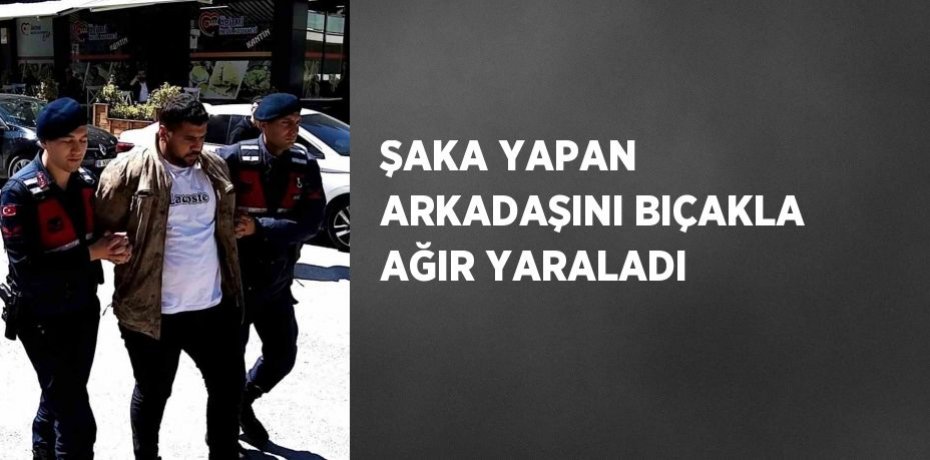 ŞAKA YAPAN ARKADAŞINI BIÇAKLA AĞIR YARALADI