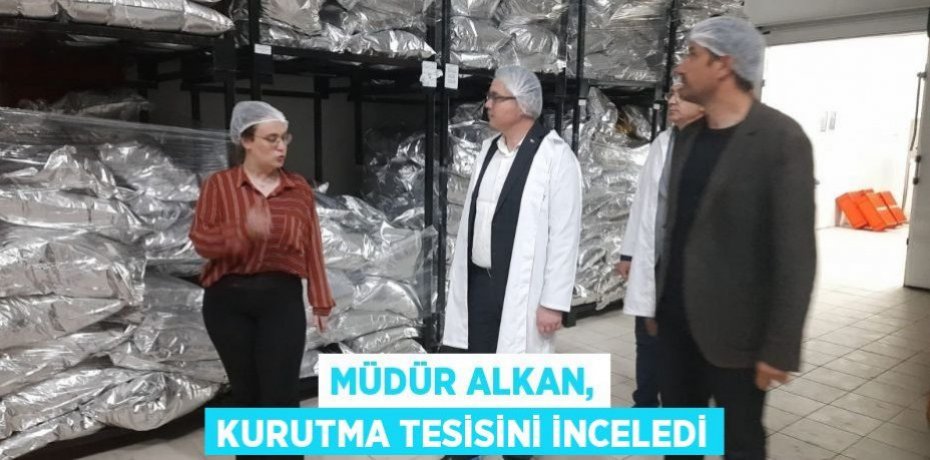 Müdür Alkan, kurutma tesisini inceledi