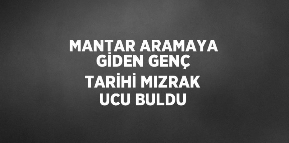 MANTAR ARAMAYA GİDEN GENÇ TARİHİ MIZRAK UCU BULDU