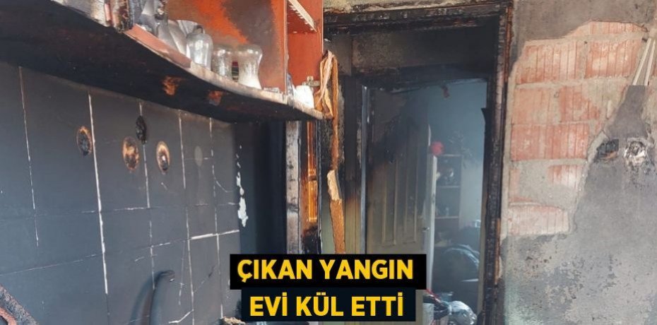 Çıkan yangın evi kül etti