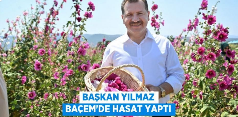 Başkan Yılmaz BAÇEM’de hasat yaptı