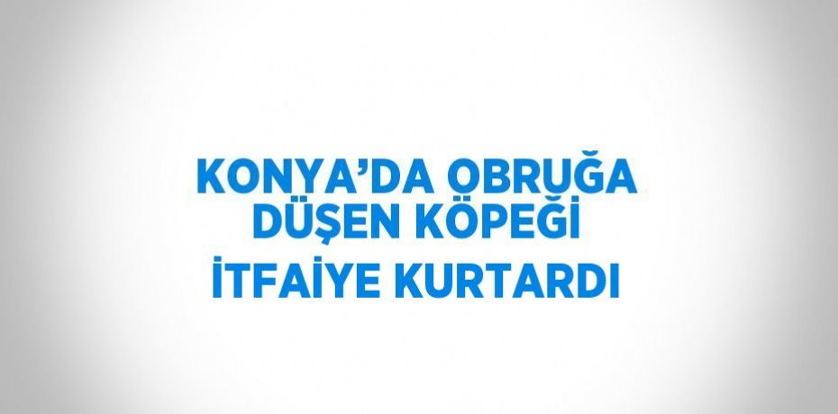 KONYA’DA OBRUĞA DÜŞEN KÖPEĞİ İTFAİYE KURTARDI