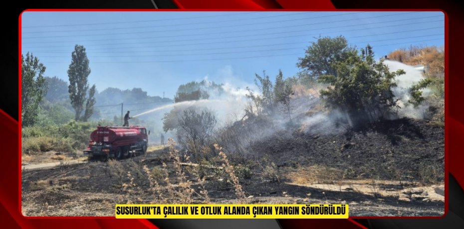 Susurluk'ta çalılık ve otluk alanda çıkan yangın söndürüldü  