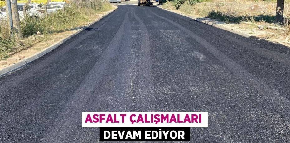 Asfalt çalışmaları devam ediyor