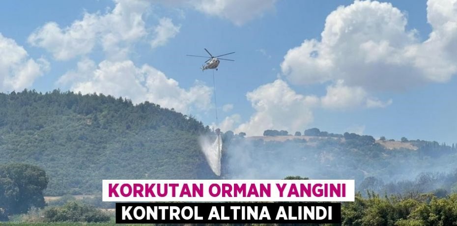 Korkutan orman yangını kontrol altına alındı