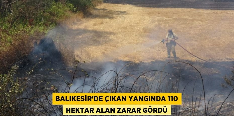 Balıkesir'de çıkan yangında 110 hektar alan zarar gördü