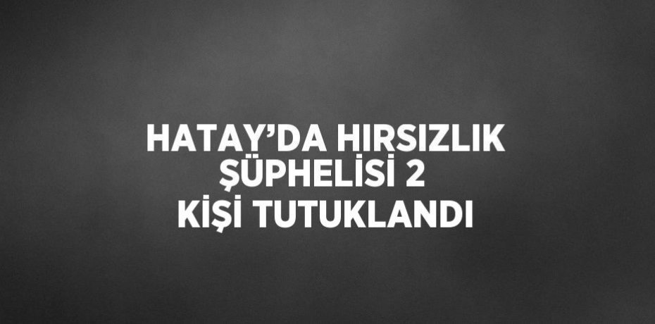HATAY’DA HIRSIZLIK ŞÜPHELİSİ 2 KİŞİ TUTUKLANDI