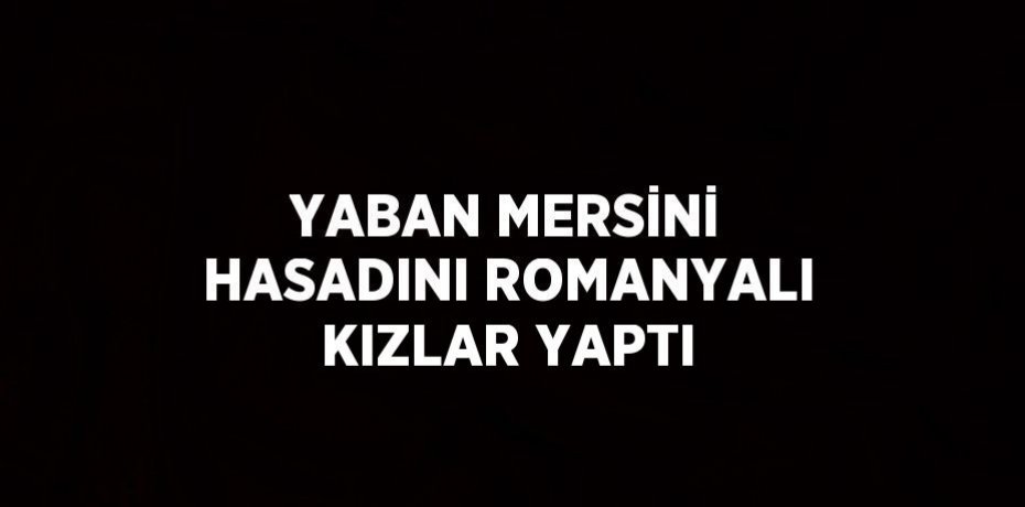 YABAN MERSİNİ HASADINI ROMANYALI KIZLAR YAPTI