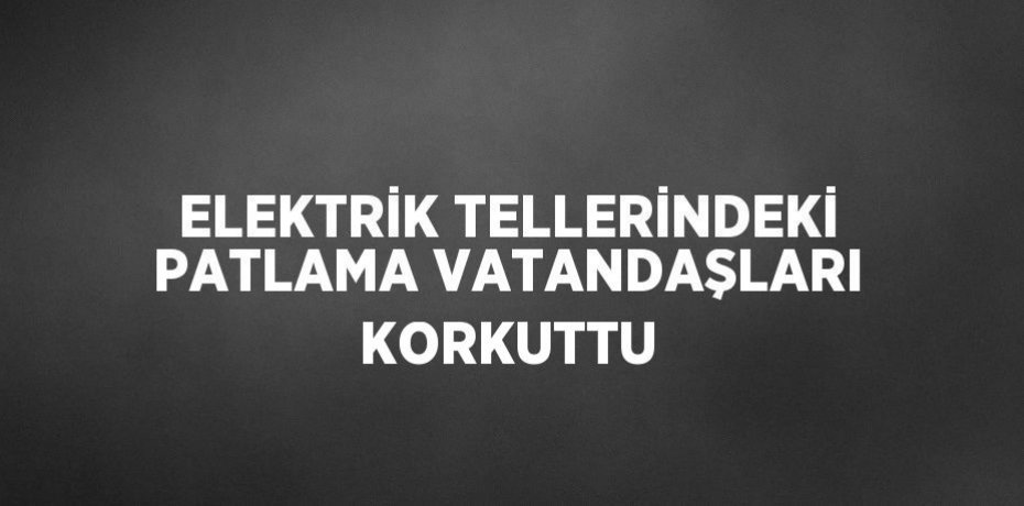 ELEKTRİK TELLERİNDEKİ PATLAMA VATANDAŞLARI KORKUTTU