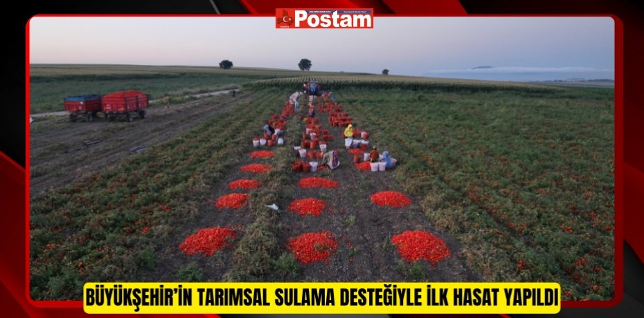 Büyükşehir’in tarımsal sulama desteğiyle ilk hasat yapıldı