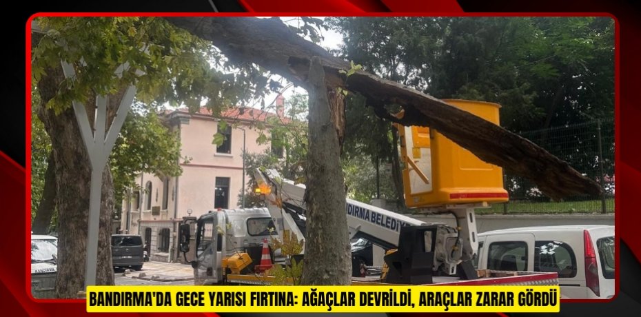 Bandırma'da gece yarısı fırtına: Ağaçlar devrildi, araçlar zarar gördü
