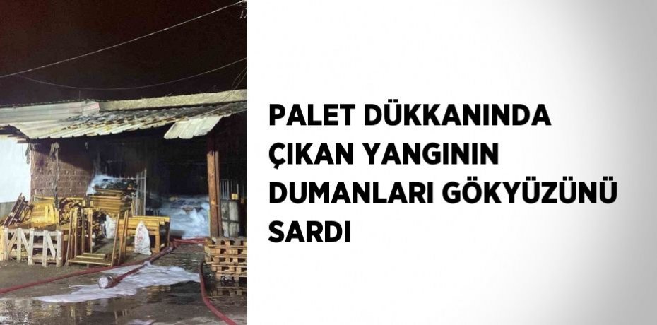 PALET DÜKKANINDA ÇIKAN YANGININ DUMANLARI GÖKYÜZÜNÜ SARDI