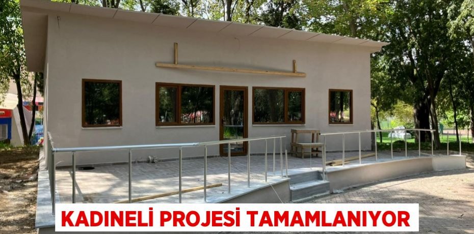 KADINELİ PROJESİ TAMAMLANIYOR