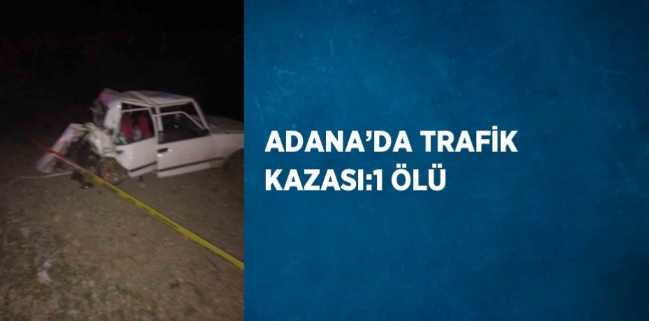 ADANA’DA TRAFİK KAZASI:1 ÖLÜ