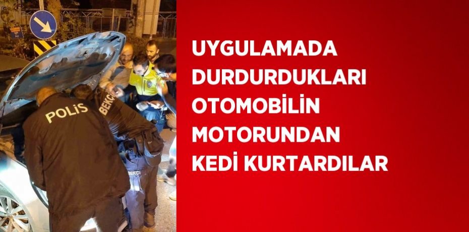 UYGULAMADA DURDURDUKLARI OTOMOBİLİN MOTORUNDAN KEDİ KURTARDILAR