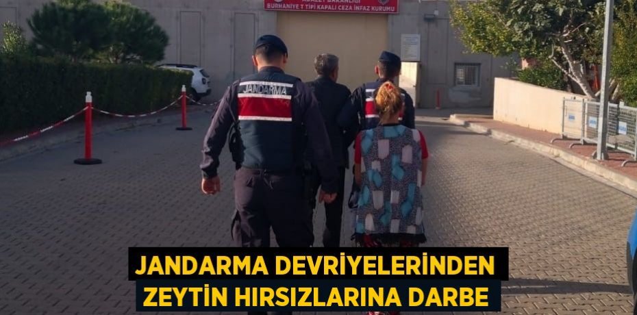 Jandarma devriyelerinden zeytin hırsızlarına darbe