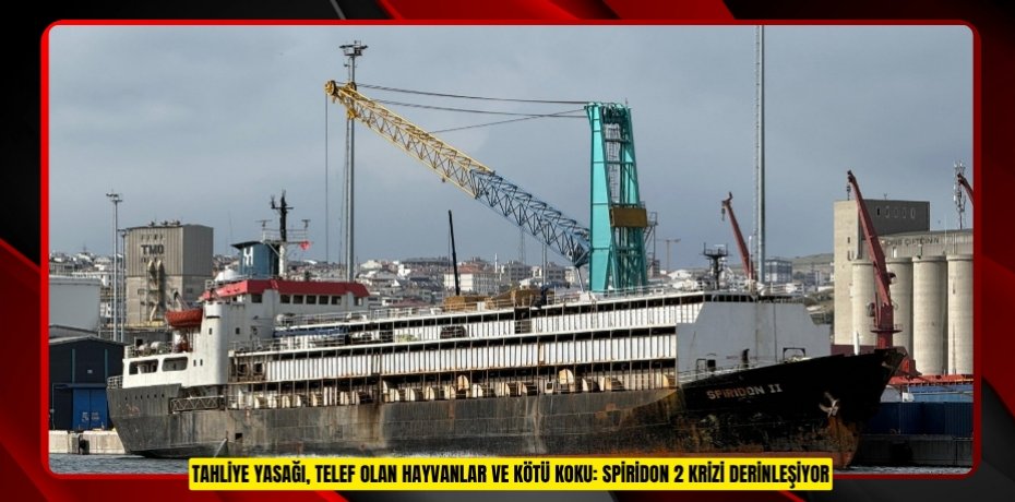 Tahliye yasağı, telef olan hayvanlar ve kötü koku: Spiridon 2 krizi derinleşiyor