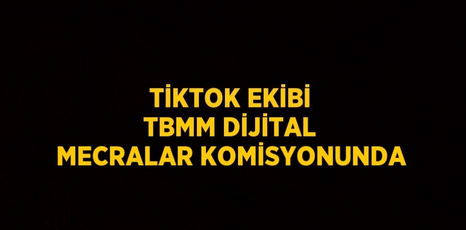 TİKTOK EKİBİ TBMM DİJİTAL MECRALAR KOMİSYONUNDA
