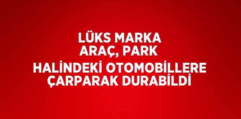 LÜKS MARKA ARAÇ, PARK HALİNDEKİ OTOMOBİLLERE ÇARPARAK DURABİLDİ