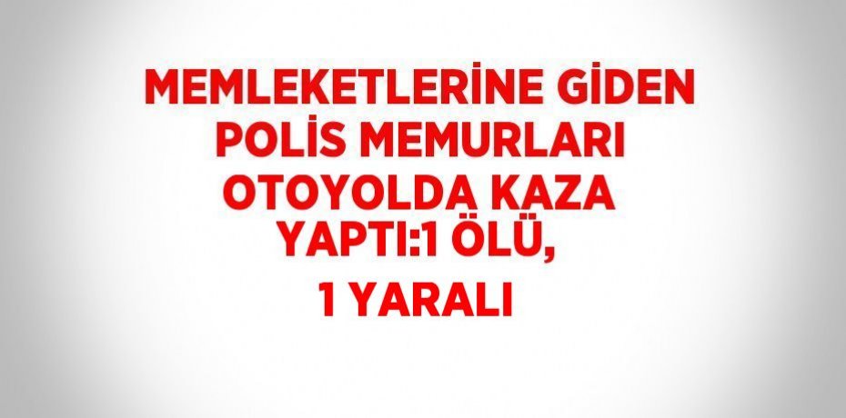 MEMLEKETLERİNE GİDEN POLİS MEMURLARI OTOYOLDA KAZA YAPTI:1 ÖLÜ, 1 YARALI