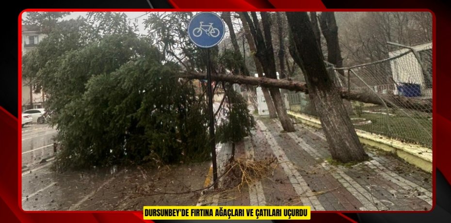 Dursunbey'de fırtına ağaçları ve çatıları uçurdu  