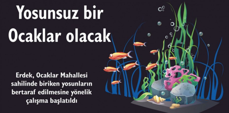 Yosunsuz bir Ocaklar olacak