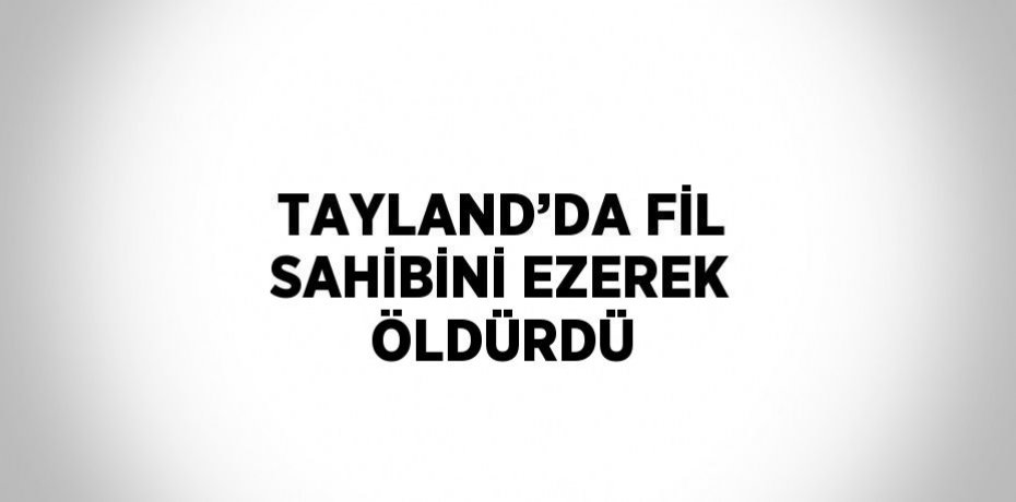 TAYLAND’DA FİL SAHİBİNİ EZEREK ÖLDÜRDÜ
